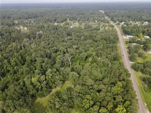 13.91 AC W La-22 Highway, Ponchatoula, LA 70454 - #3