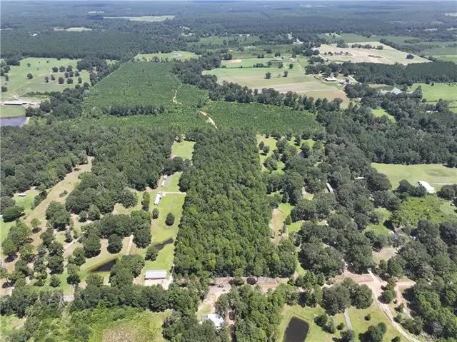 Rolling Pines Road, Amite, LA 70422 - #2