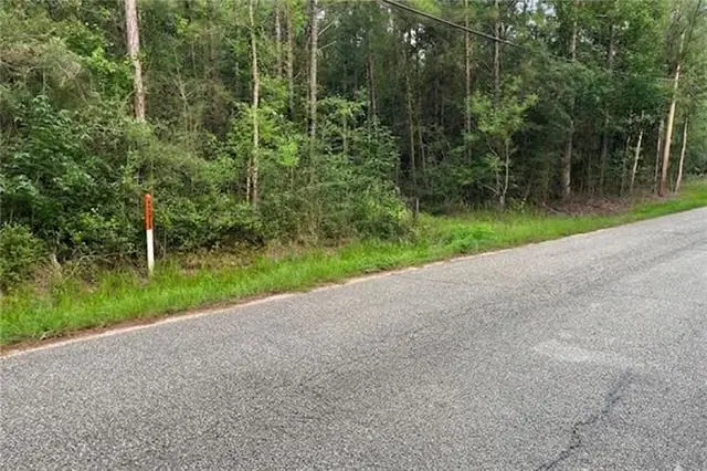 N Mill Road, Lacombe, LA 70445 - #3