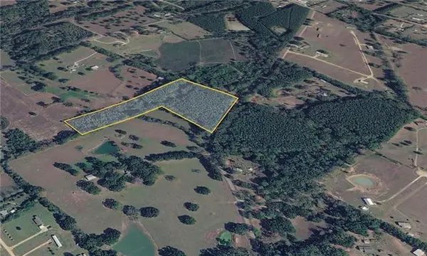 10.814 Carol Morgan Road, Franklinton, LA 70438