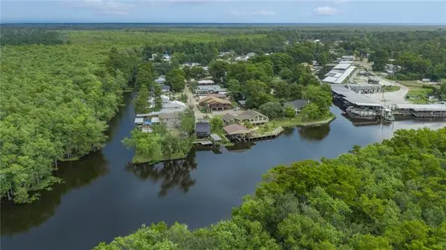 31639 Shelton Drive, Springfield, LA 70462 - #2