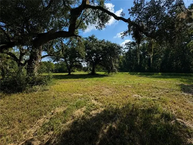 Mandane Drive, Lacombe, LA 70445 - #1