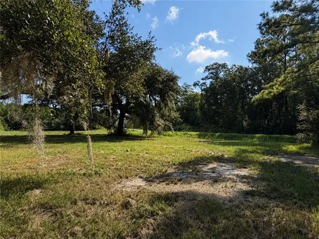 Mandane Drive, Lacombe, LA 70445 - #3