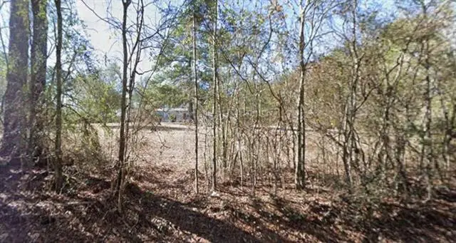 30111 Woodrow Magee Road, Franklinton, LA 70438 - #2