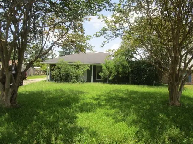 13355 Molly Melissa Drive, Walker, LA 70785 - #1