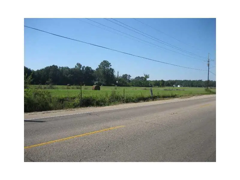 46375 E Hwy 190 / Myers Road, Hammond, LA 70403 - #2