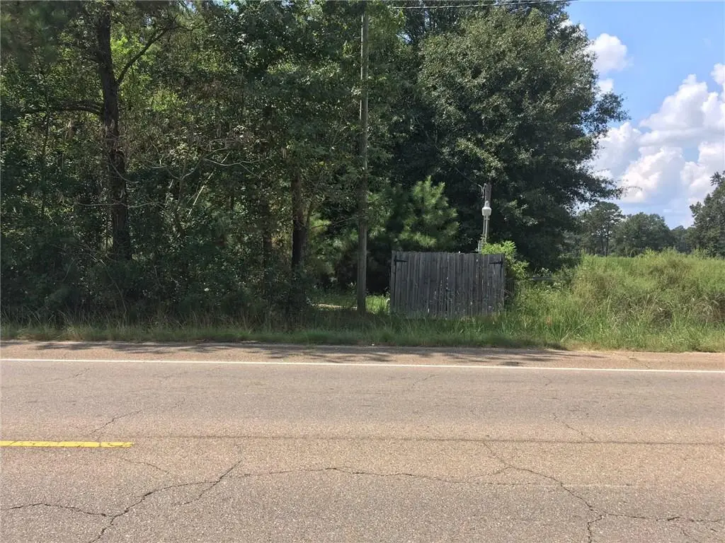 Hwy 51 Highway, Independence, LA 70443 - #1
