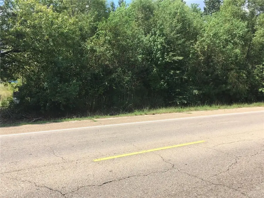 Hwy 51 Highway, Independence, LA 70443 - #2