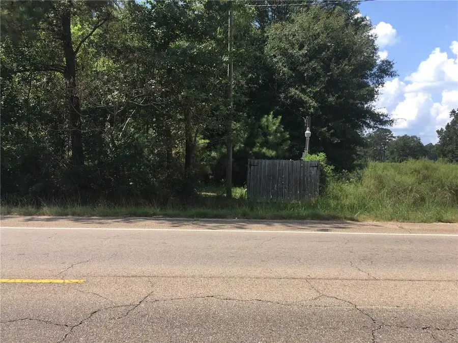 Hwy 51 Highway, Independence, LA 70443 - #3