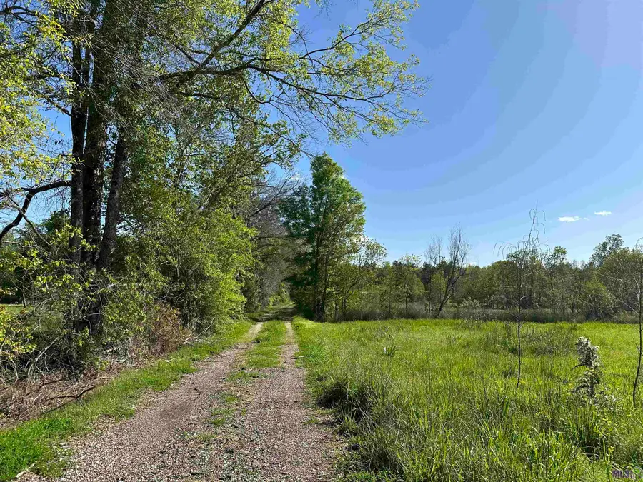 38975 Leggett Rd, Walker, LA 70785 - Image #3