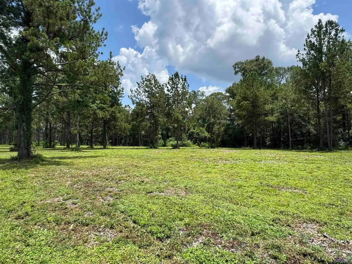 Tract C La Hwy 16, Denham Springs, LA 70706 - Image #1