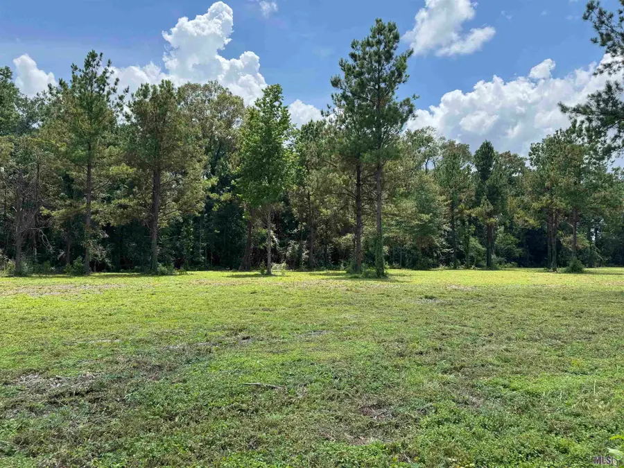 Tract C La Hwy 16, Denham Springs, LA 70706 - Image #3