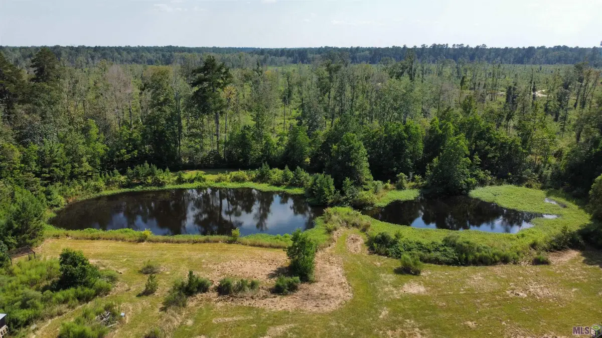 34180 Perkins Rd, Denham Springs, LA 70706 - Image #1