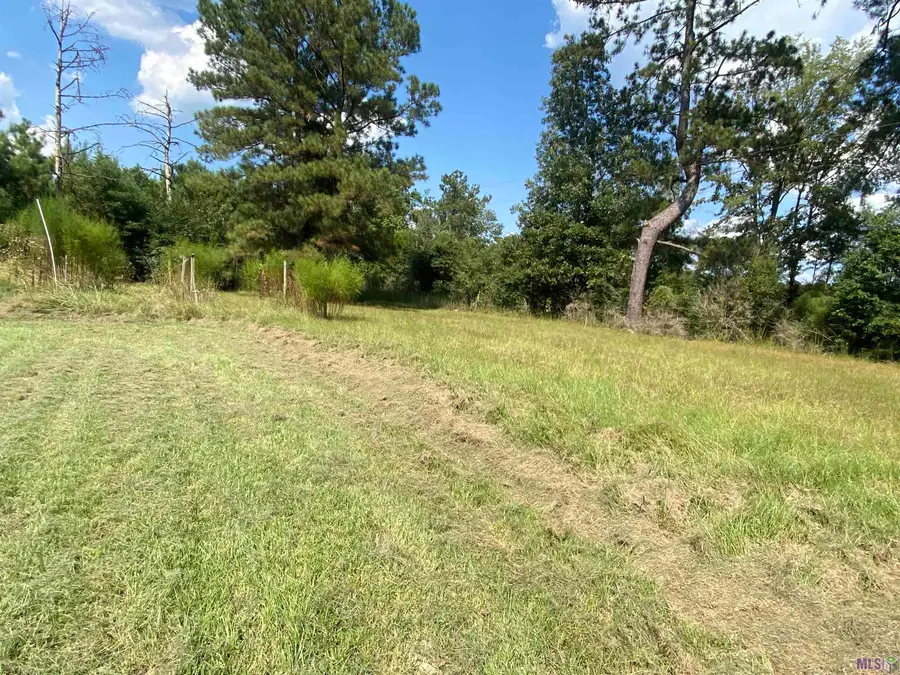 1532 Genola Rd, Clinton, LA 70722 - Image #2