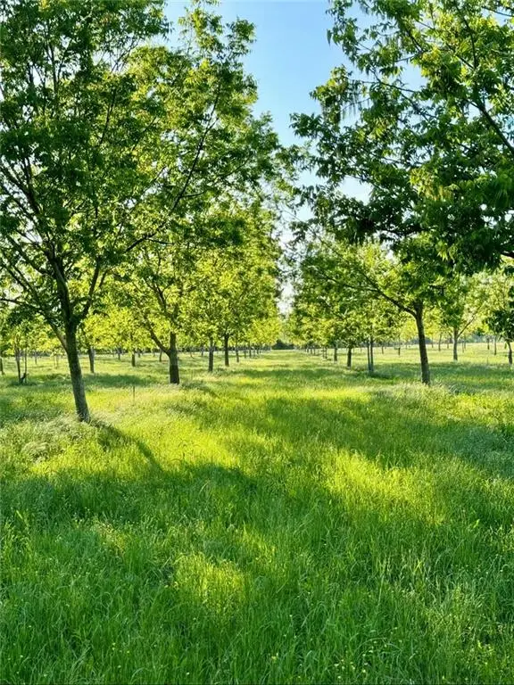 619 Woodson Road, Effie, LA 71331 - Image #1