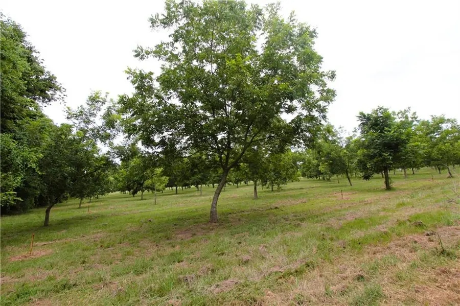 619 Woodson Road, Effie, LA 71331 - Image #2