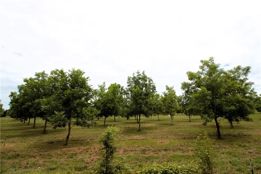 619 Woodson Road, Effie, LA 71331 - Image #3