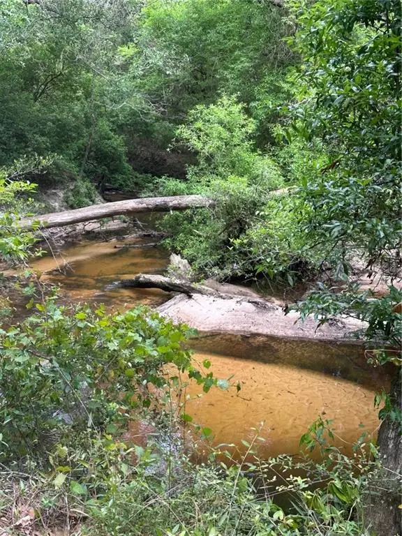 52116 Thigpen Road, Franklinton, LA 70438 - #1