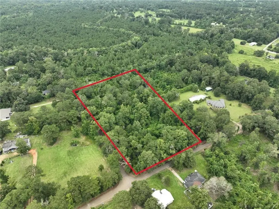 Cason Road, Independence, LA 70443 - Image #2