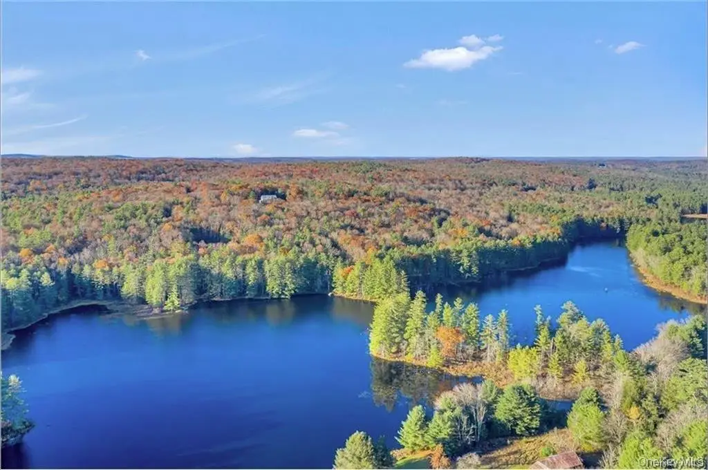 Lot 92 Mathias Weiden Drive, Narrowsburg, NY 12764 - #1