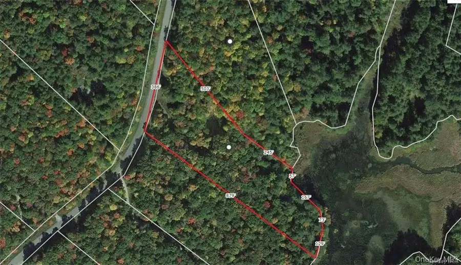 Lot 92 Mathias Weiden Drive, Narrowsburg, NY 12764 - #3