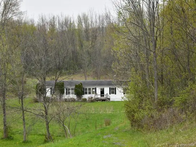 10537 Spook Woods Rd, Conquest, NY 13140 - #1