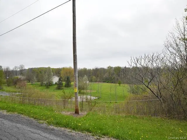 10537 Spook Woods Rd, Conquest, NY 13140 - #2