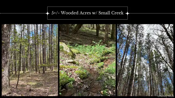 Lot 16 Putnam Road, Other, NY 13750