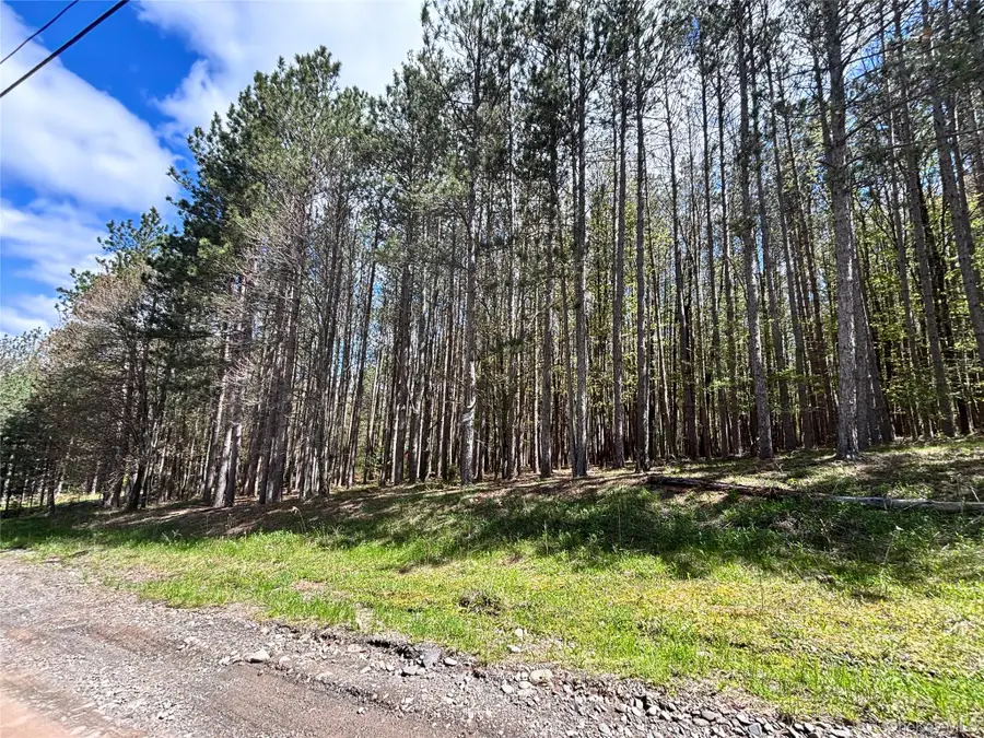 Lot 16 Putnam Road, Kortright, NY 13750 - #3