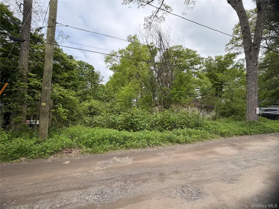 48 Paradise Trail, Blooming Grove, NY 10914 - #3