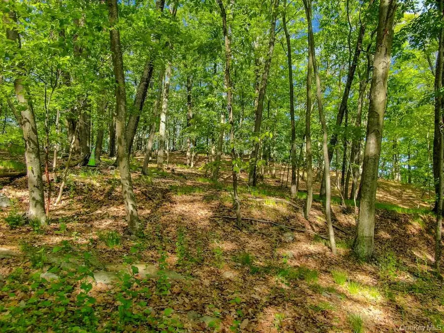 24 Council Crest Road, Sloatsburg, NY 10974 - #3