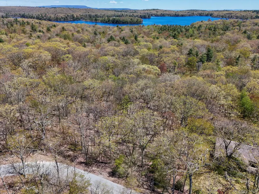 Canal Road, Wurtsboro, NY 12790 - #3
