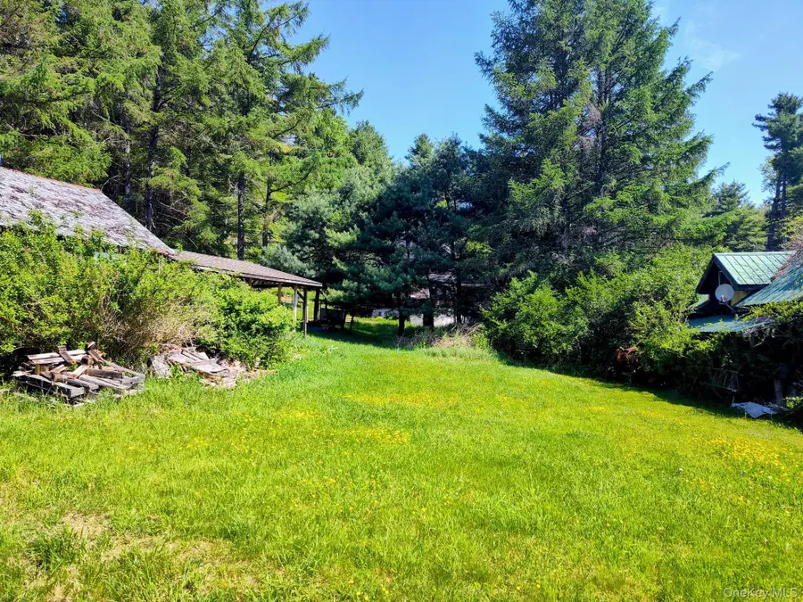 174 Forestburgh Road, Forestburgh, NY 12777 - #3
