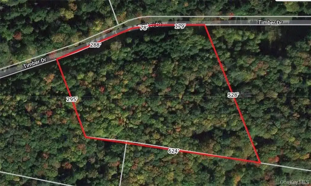Lot 5 Timber Drive, Bethel, NY 12720 - #1