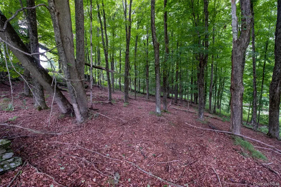 Lot 5 Timber Drive, Bethel, NY 12720 - #3