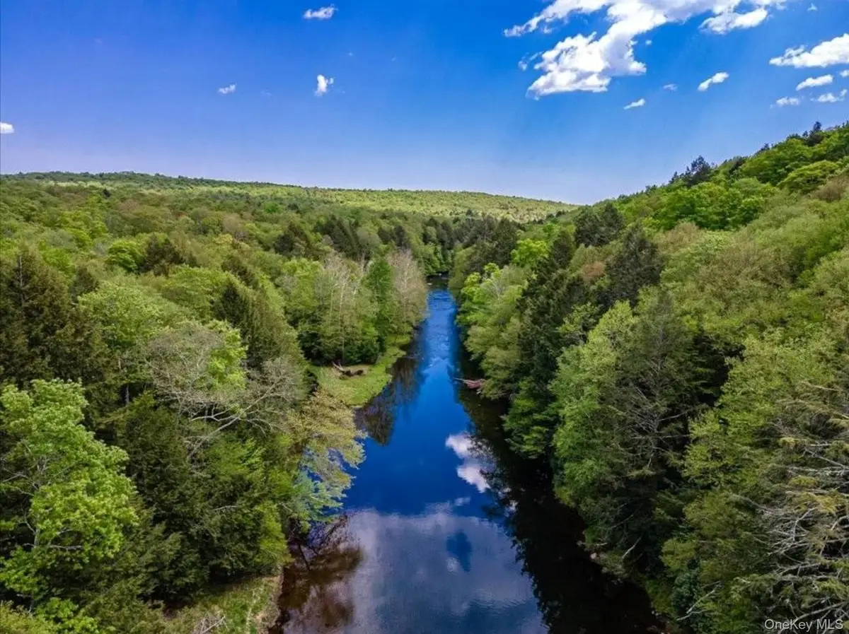 Willow Heights Road, South Fallsburg, NY 12779 - #1