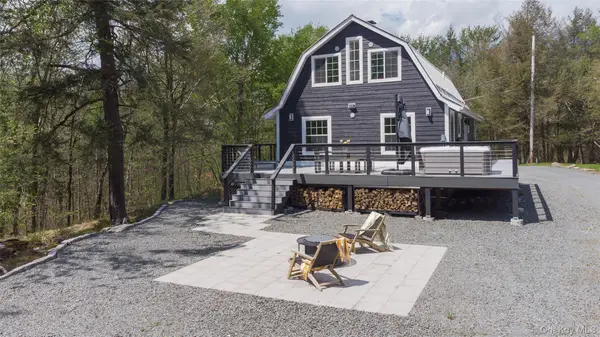 57 Sheryl Davis Road, Livingston Manor, NY 12758