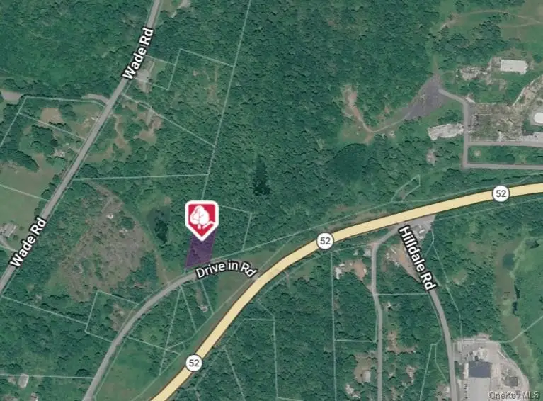 Drive In, Fallsburg, NY 12733 - #1