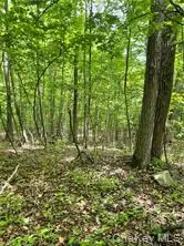 TBD Hawleys Corners, Highland, NY 12528 - #2