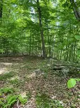 TBD Hawleys Corners, Highland, NY 12528 - #3