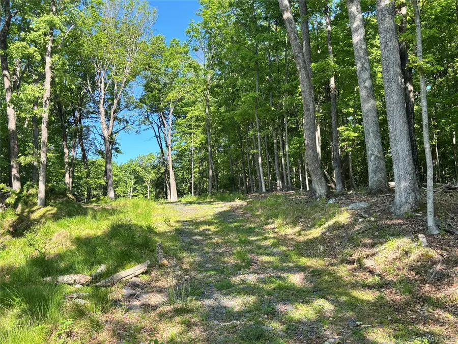 South Plank Road, Westtown, NY 10998 - #3