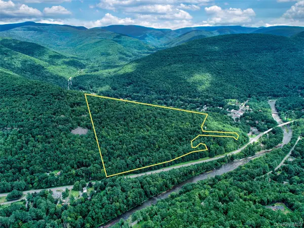 TBD NY-28 Route, Phoenicia, NY 12464