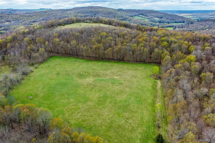 0 Brownell Road, Bloomville, NY 13739 - #2