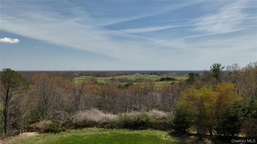 954 Noyack Path, Water Mill, NY 11976 - #2