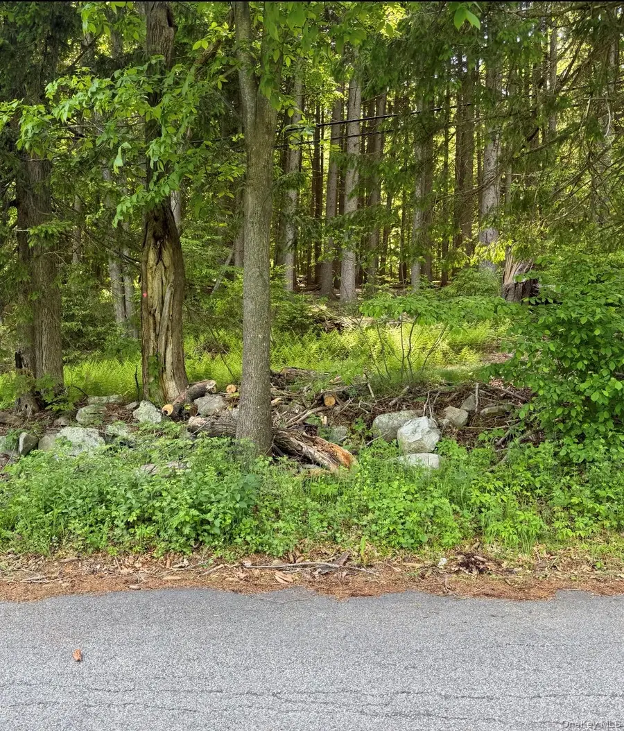 Mountain Road N, Cold Spring, NY 10516 - #2