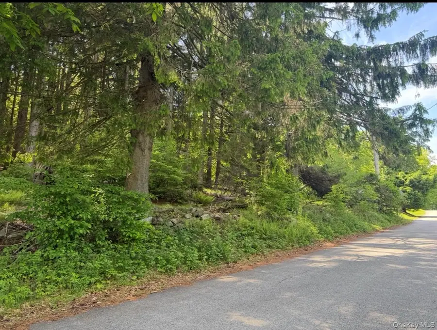 Mountain Road N, Cold Spring, NY 10516 - #3