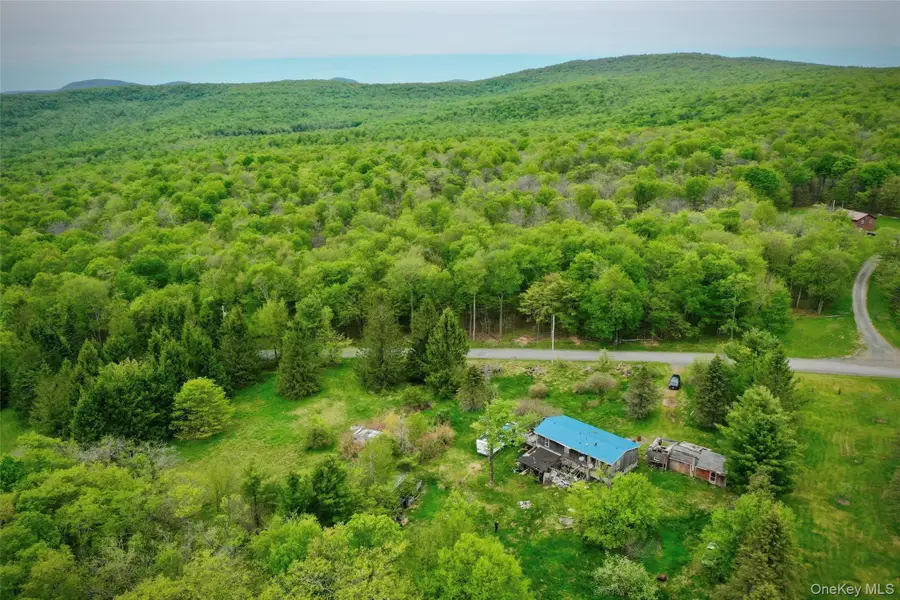 138 Old Hunter Road, Livingston Manor, NY 12758 - #2