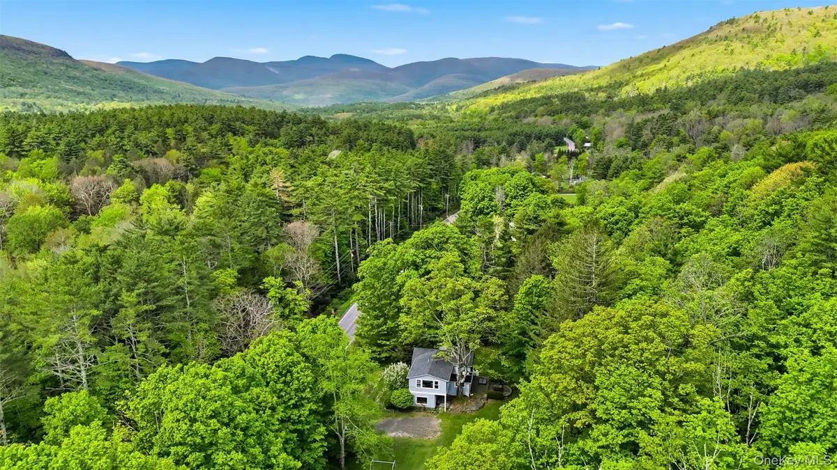 726 Wittenberg Road, Mount Tremper, NY 12457 - #1