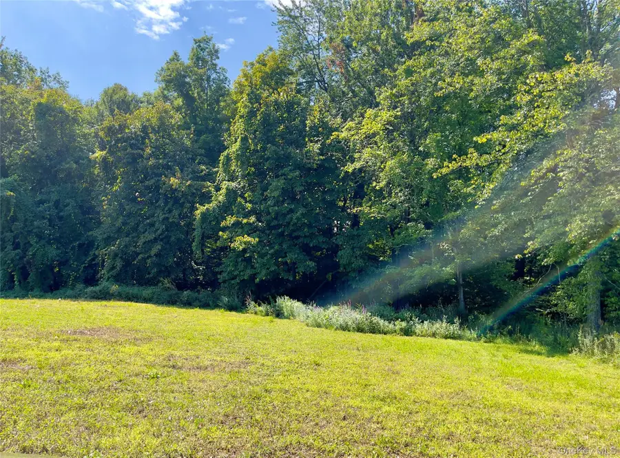 27 Picnic Woods Road, Clintondale, NY 12515 - #3