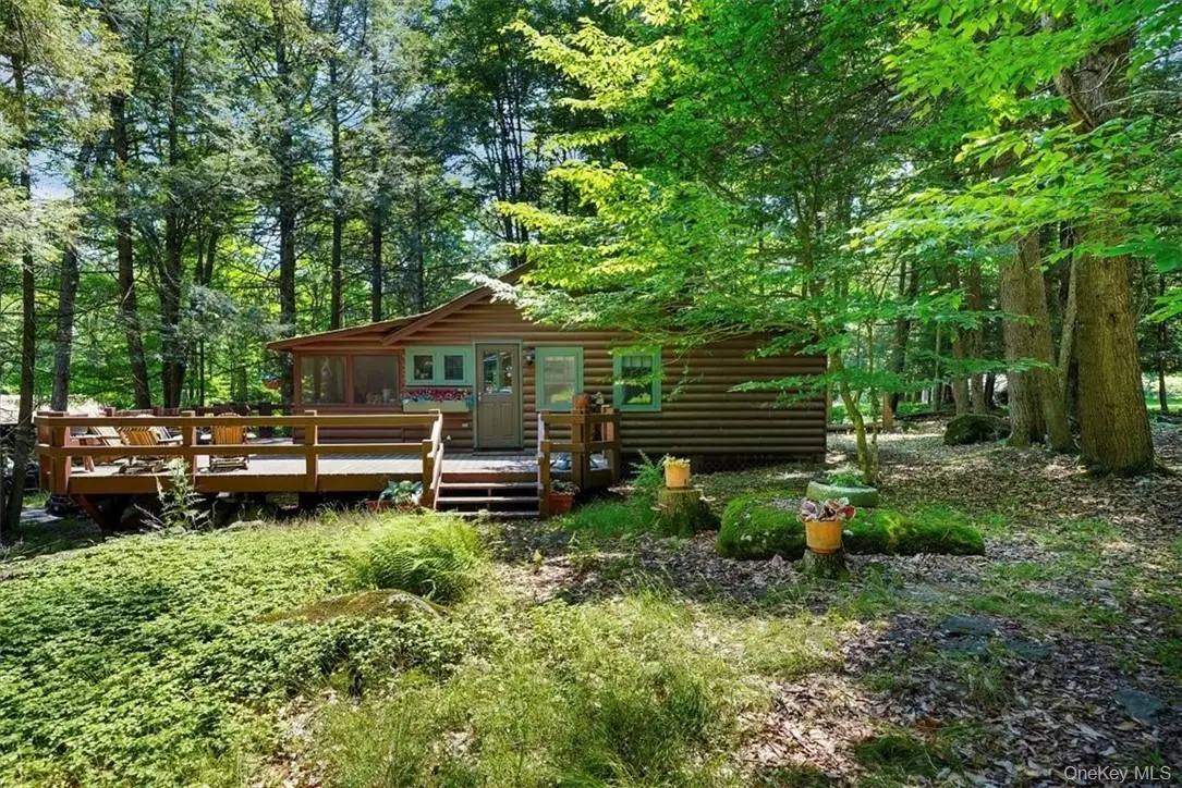 38 W Adirondack Trail, Smallwood, NY 12778 - #1